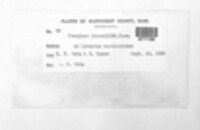 Image Associated With the Occurence